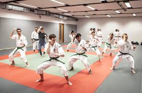 Image result for Southampton University Shorinji Kempo Club