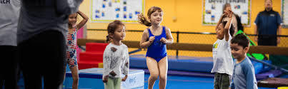 Image result for Fish trampoline and gymnastics club