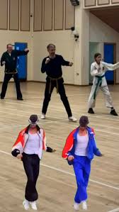 Image result for Hillcross, Raynes Park & Redhill Choi Kwang-Do