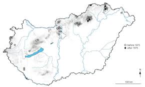 Attēlu rezultāti vaicājumam “Cetrelia sp.”