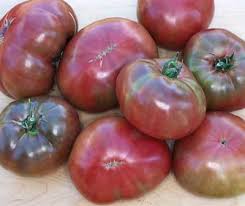 Afbeeldingsresultaat voor carbon tomato