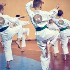 Image result for Bushido Academy Of Martial Arts (Bama)