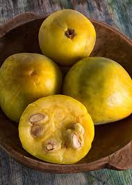 Attēlu rezultāti vaicājumam “Rhinanthus serotinus fruit”