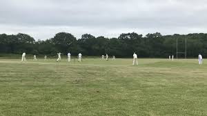 Image result for Bronwydd Cricket Club