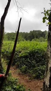 Image result for Long Eaton Field Archery Club