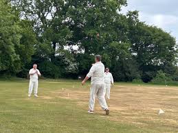 Image result for Downe Cricket Club