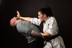 Image result for Martial Arts London