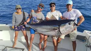 Image result for Thunnus obesus