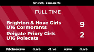 Image result for Brighton & Hove Hockey Club