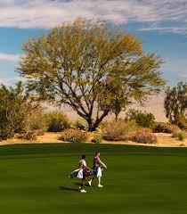 Image result for South Holderness Gc