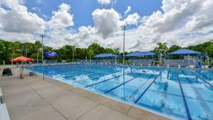 Image result for Selby Tiger Sharks Swimming Club