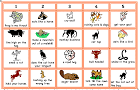 zoo idioms