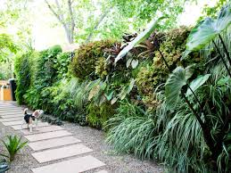 Image result for living wall