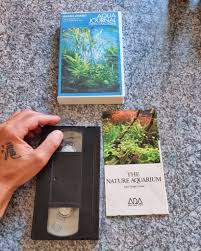 Znalezione obrazy dla zapytania takashi amano%