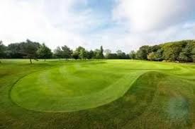 Image result for Chelmsford Gc