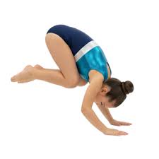 Image result for Torbay Olympic Gymnastics Club
