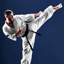 Image result for Shotokan Karate