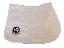 Image result for Chiddingfold Branch Of The Pony Club