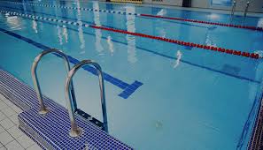 Image result for Ledbury & District Amateur Swimming Club