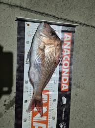 Image result for Annbank Angling Club