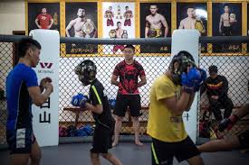 Image result for Chinese Kick Boxing Club