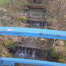 Image result for Radnorshire Indoor Bowling Association