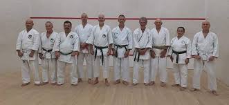 Image result for Thatcham Wado Karate Club
