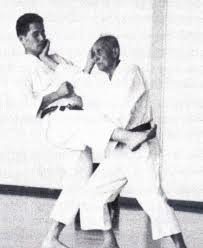 Image result for Independent Wadoryu Karate Federation