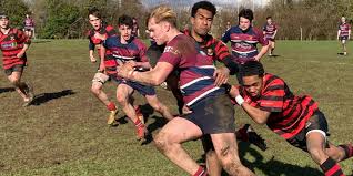 Image result for Cirencester Rugby Football Club