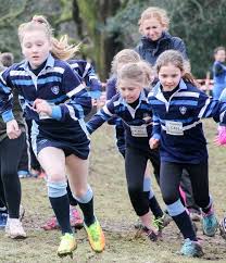 Image result for Windermere Rugby Club