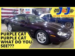 Image result for Amananth Purple 1999 Jaguar