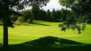 Image result for Carlow Golf Club