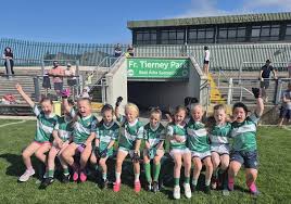 Image result for Aodh Ruadh Clg