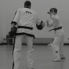 Image result for Bytomic Taekwondo Chalfonts