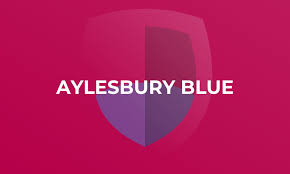 Image result for Aylesbury Jnl Netball Club