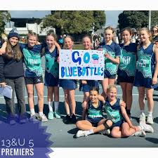 Image result for Brigg & District Netball Club