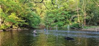 Image result for RAF Marham Canoeing and Kayaking Club