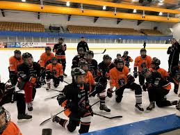 Image result for Telford Tigers