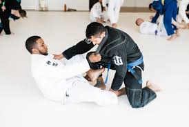Image result for Professional  Martial Arts Academy