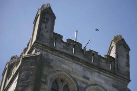 Image result for Abbey Bowmen (St Albans) Archery Club