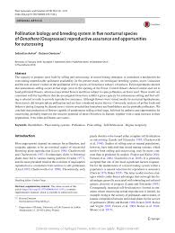 Attēlu rezultāti vaicājumam “Oenothera rubricauli”