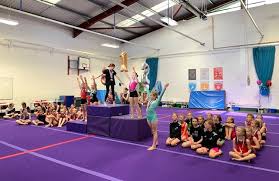 Image result for Harriers Acrobatic Gym Club