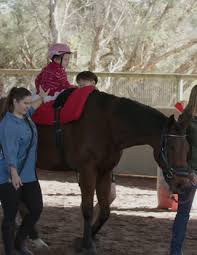 Image result for Buchan Group Riding For The Disabled