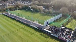 Image result for Sarsfields Hurling Club