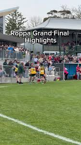 Image result for Heywood Sports Afc