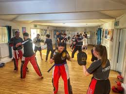 Image result for North West Chinese Kickboxing