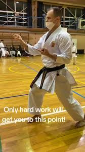 Image result for Budo Shin Ryu Kempo Jujitsu Academy