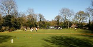 Image result for Buscot Park Cricket Club