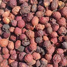 Attēlu rezultāti vaicājumam “Crataegus monogyna fruit”