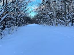 Image result for Midland Ski Club